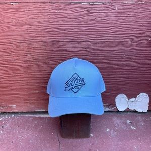 A.P.C. USA Light Blue Logo Dad Hat